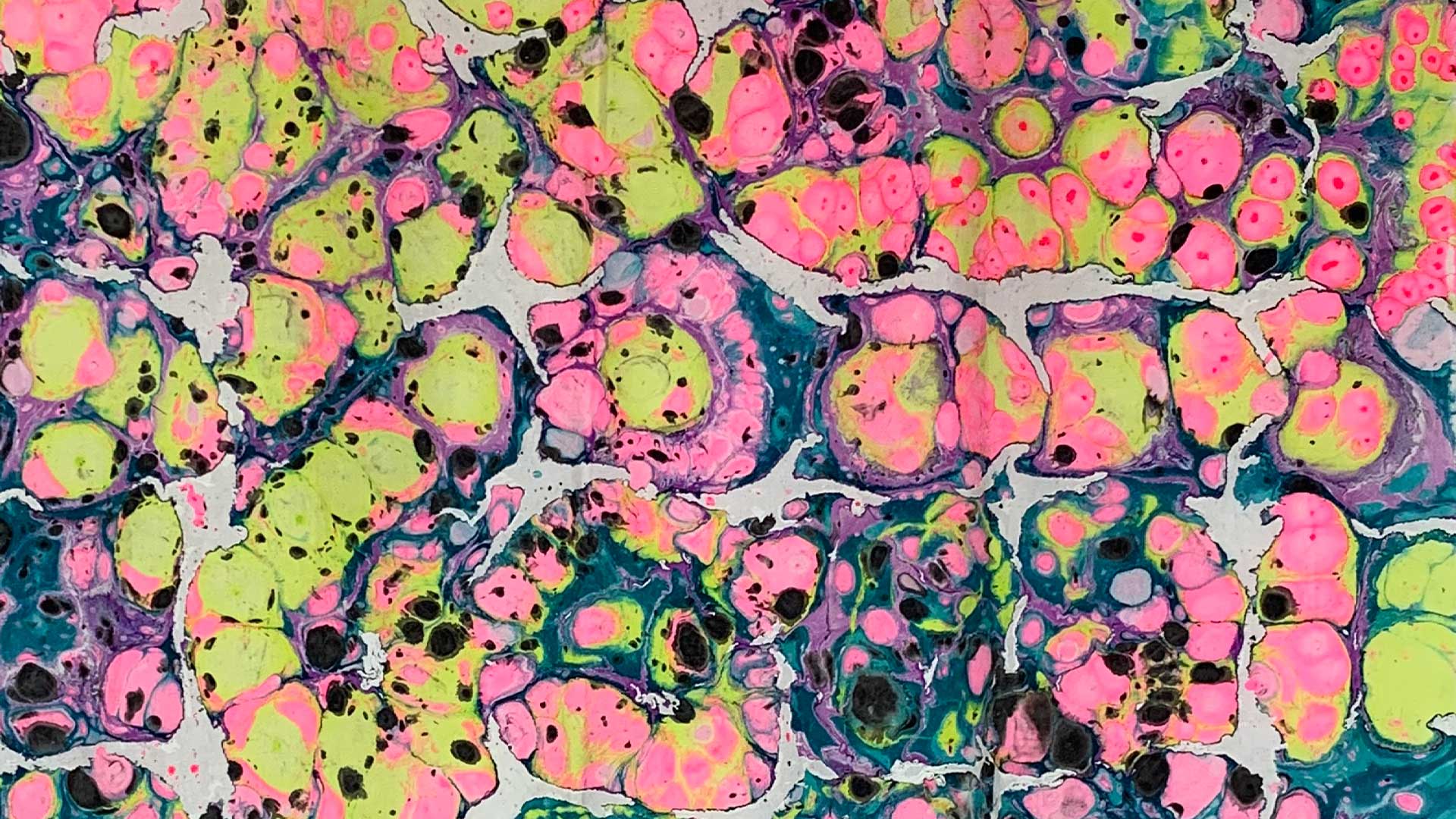 Cell Study No. 01 | Pink, Acid Green & Black